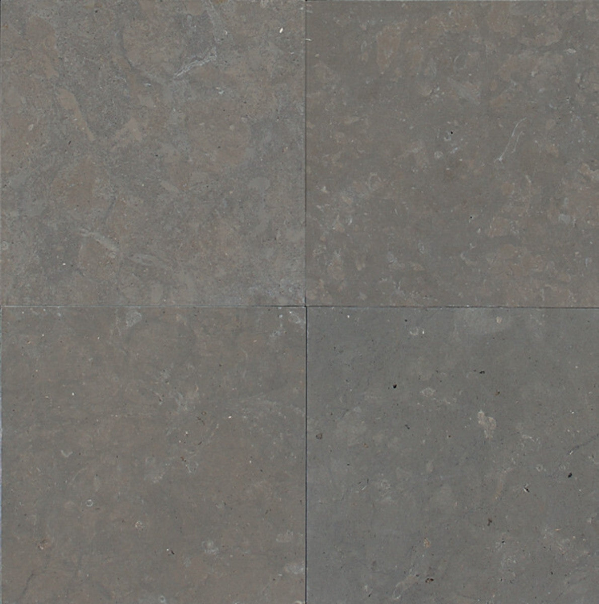 Stone Source Lagos Blue 12x12 Field Tile Honed