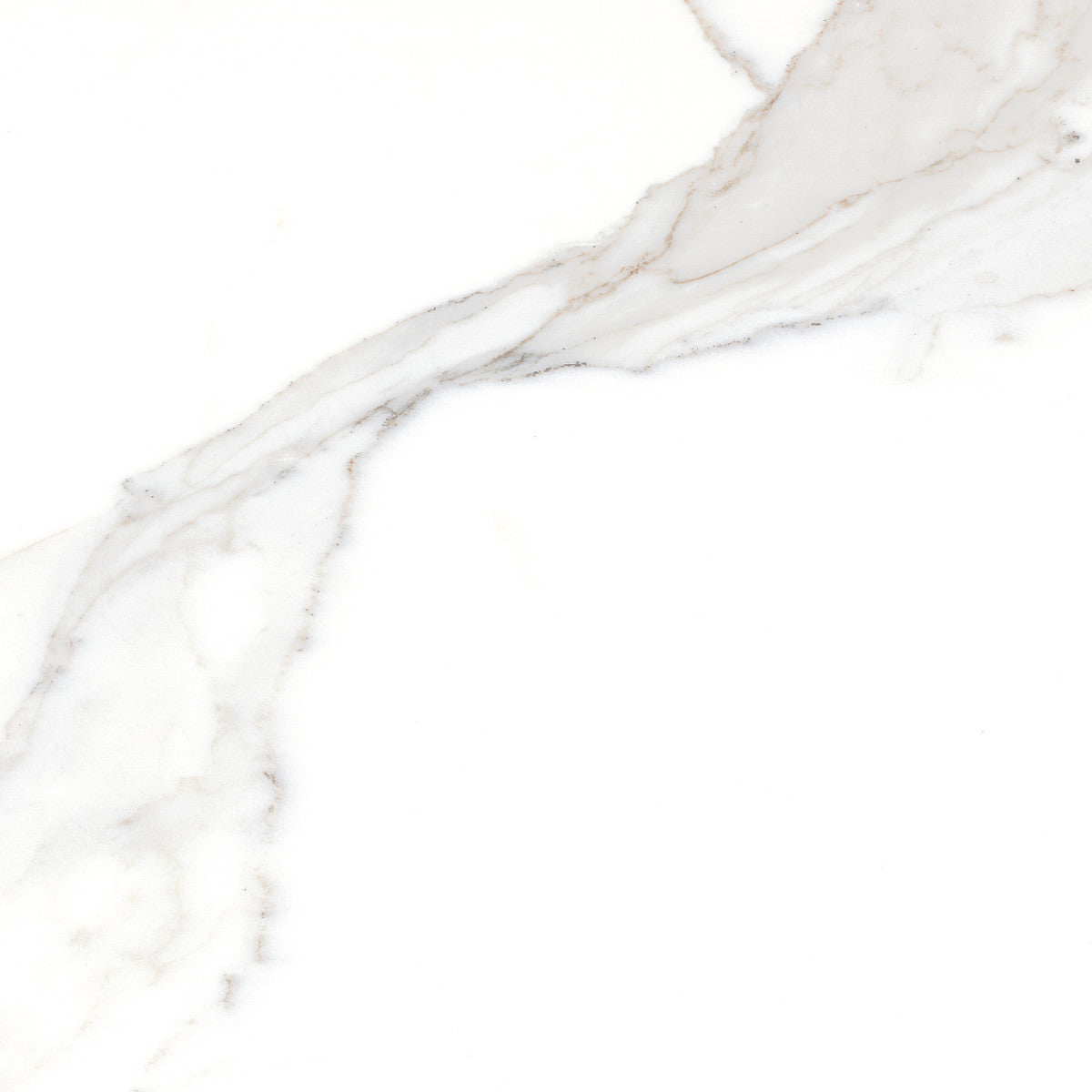 Calacatta Calacatta 12x12 Field Tile Honed Rectified