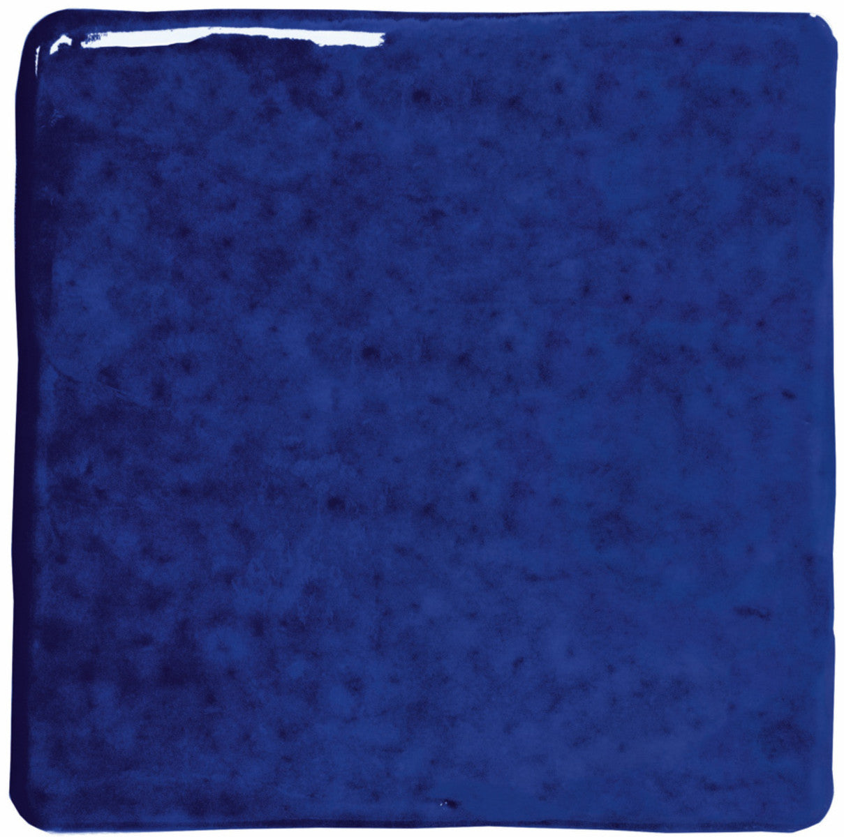Roots Indigo 4x4 Field Tile Glossy