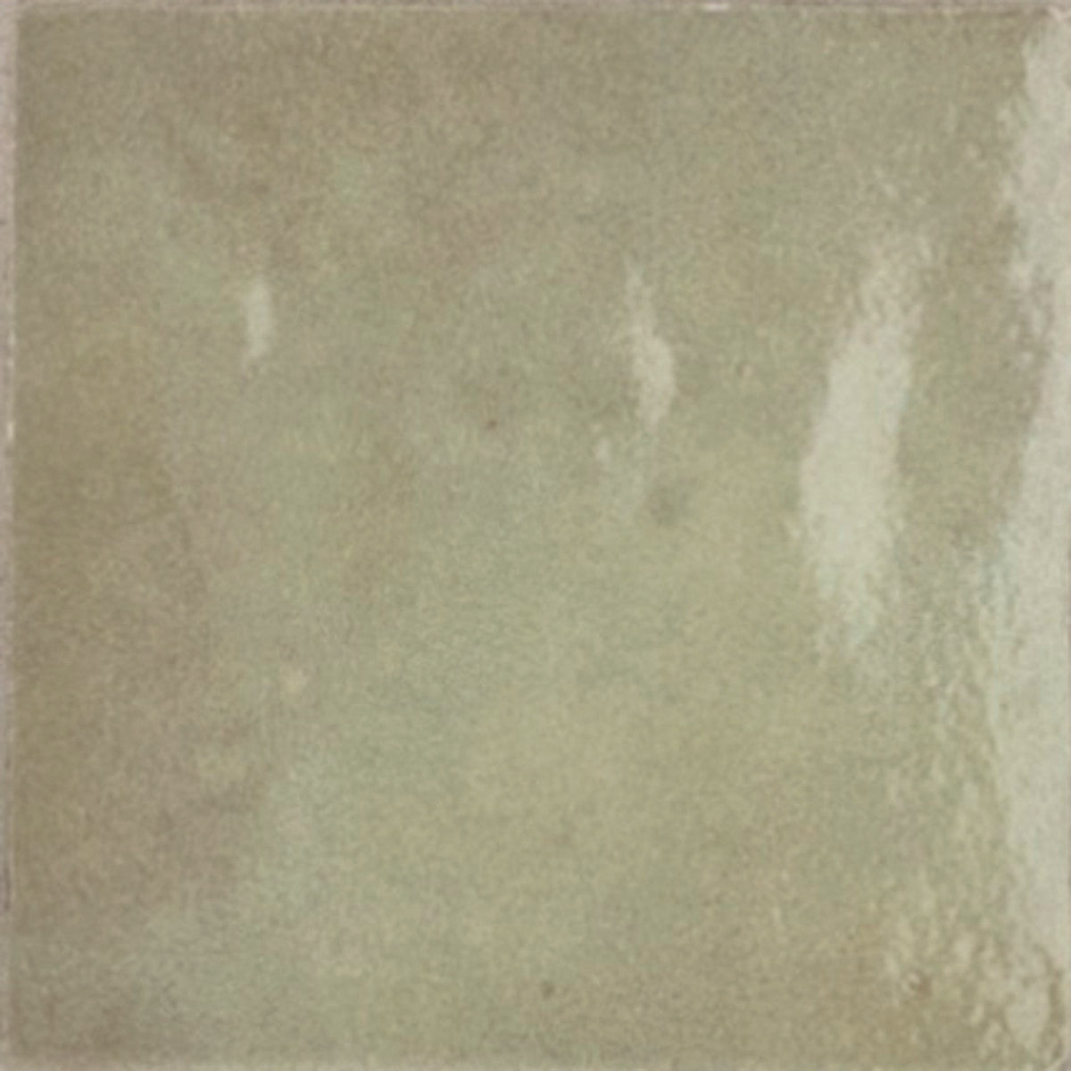 Zellige Neo Salvia 4x4 Field Tile Glossy
