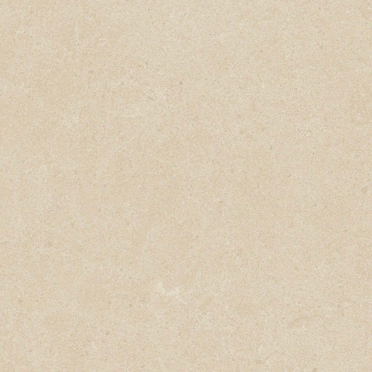 Argent 2.0 White Tiger 12x12 Field Tile Rectified