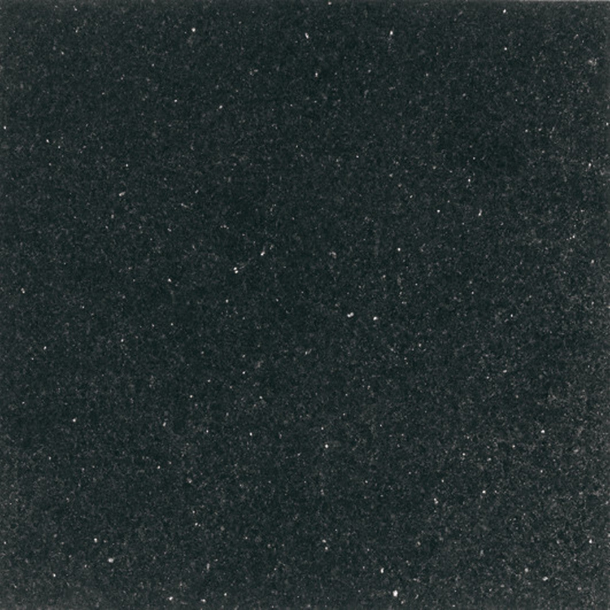 Stone Source Galaxy Black 12x12 Field Tile Polished