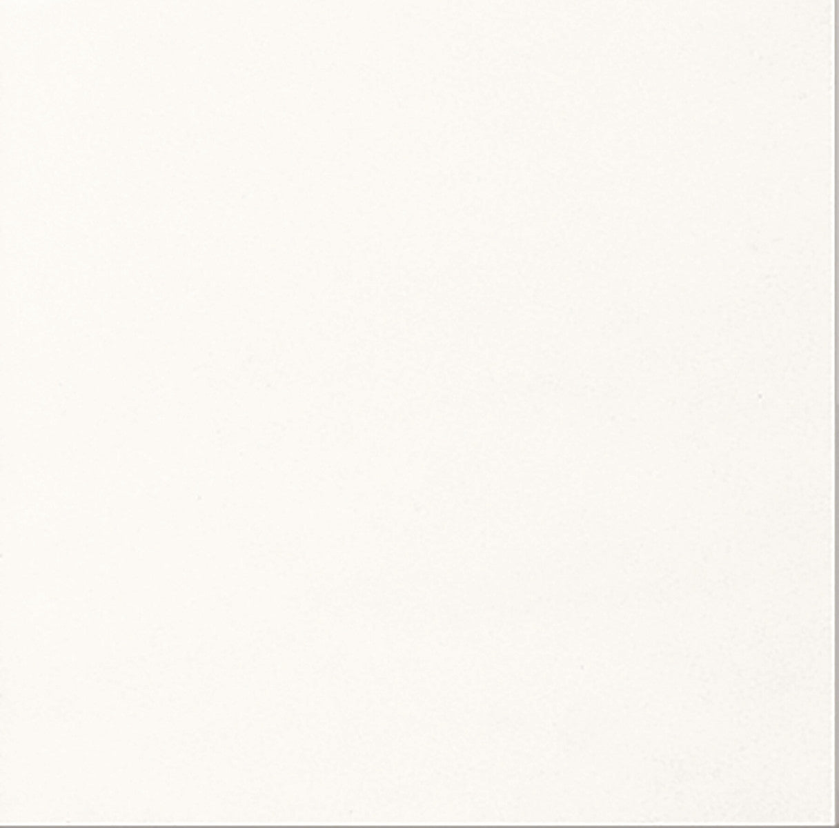 Stone Source Thassos White 12x12 Field Tile Polished