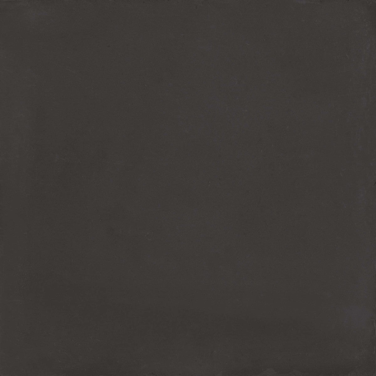 D_Segni Midnight 8x8 Field Tile Matte