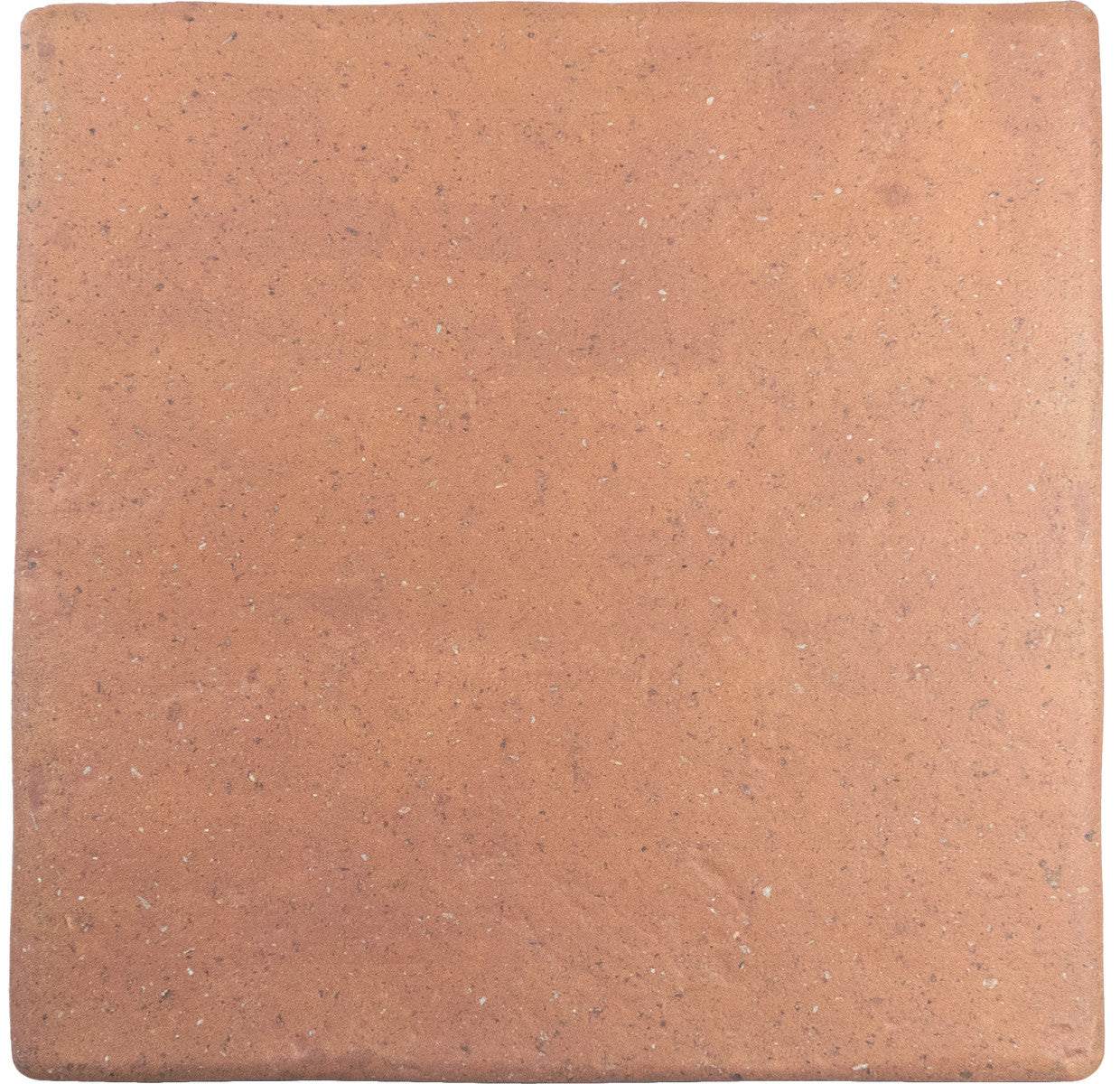 Roots Cotto 9x9 Field Tile Matte