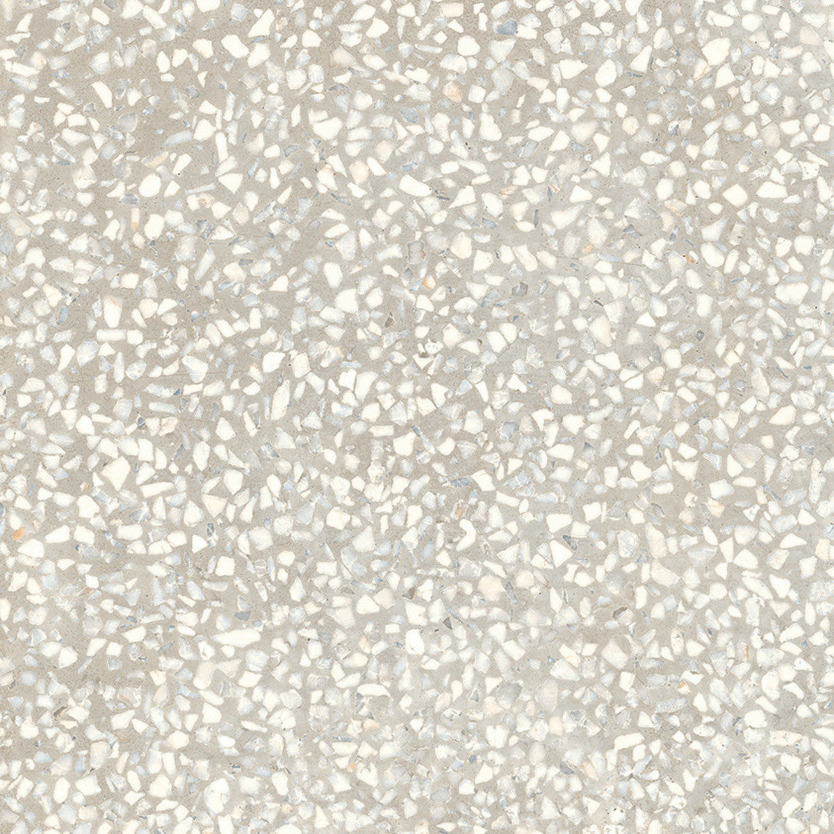 D_Segni Terrazzo White 8x8 Field Tile Matte