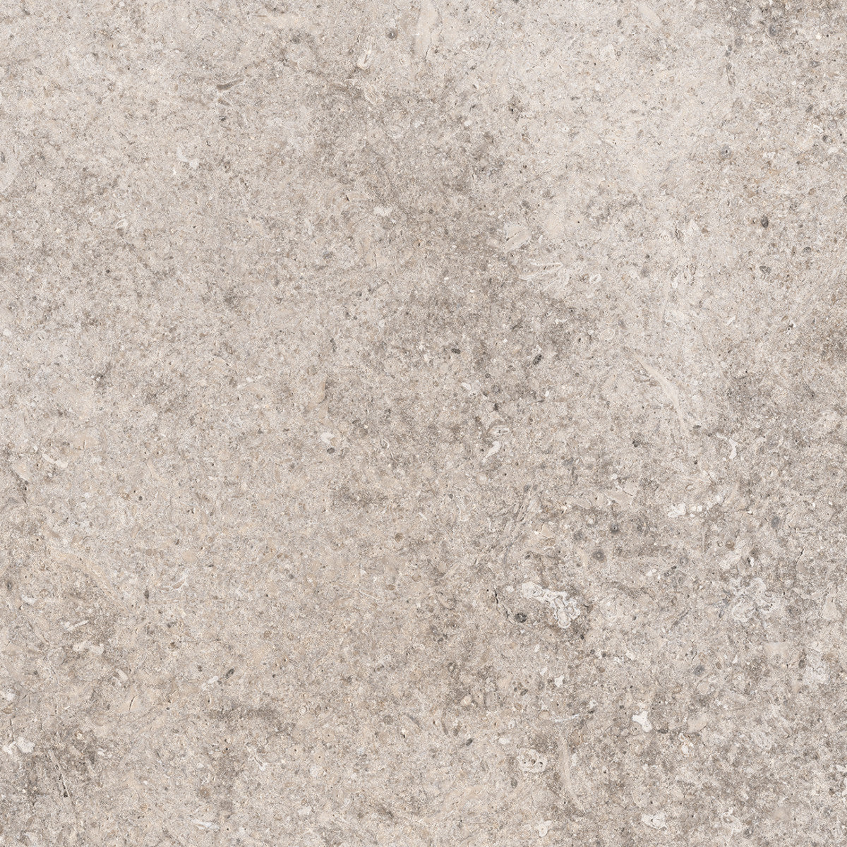 Rustic Stone Taupe 12x12 Field Tile Matte