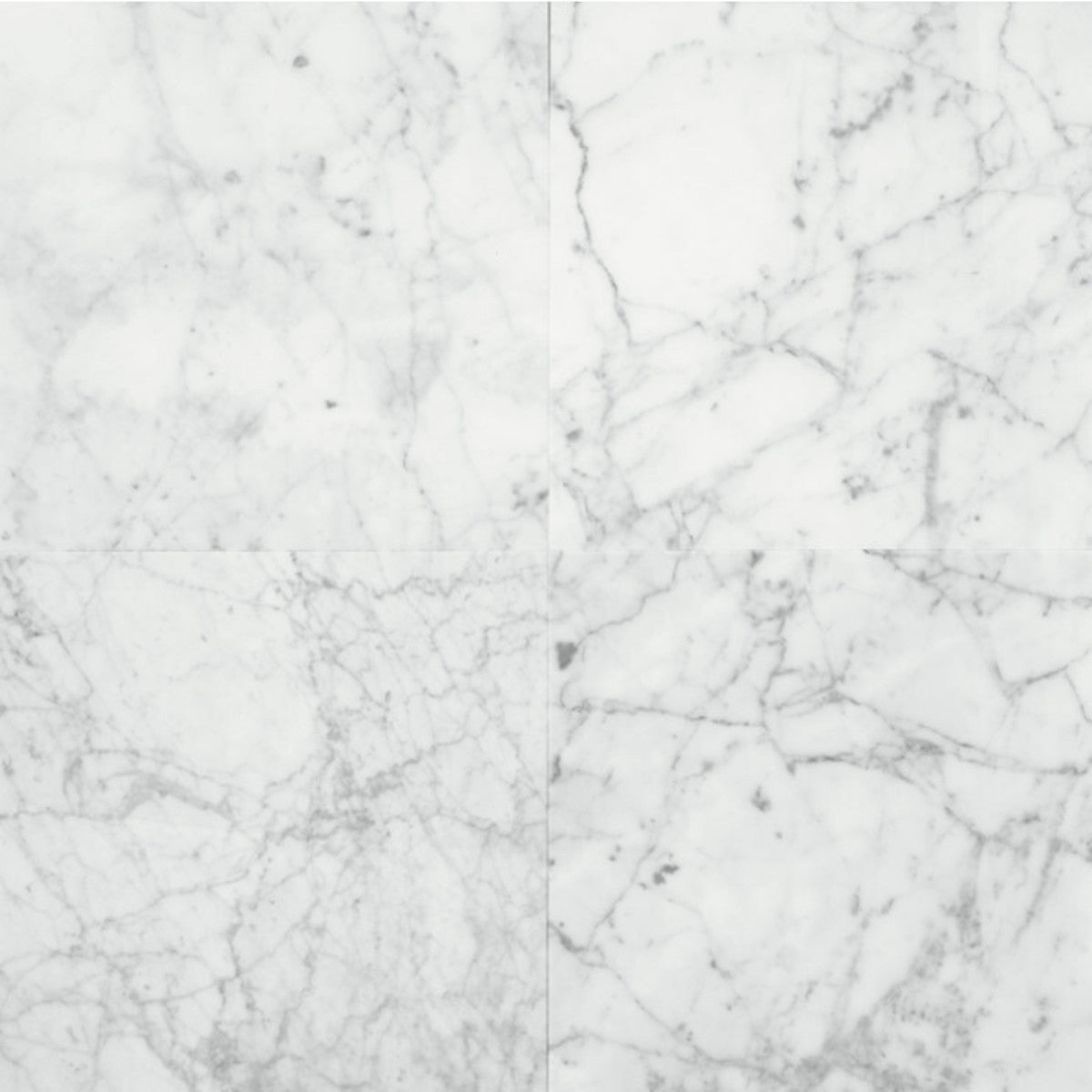 Stone Source Carrara Gioia 12x12 Field Tile Polished