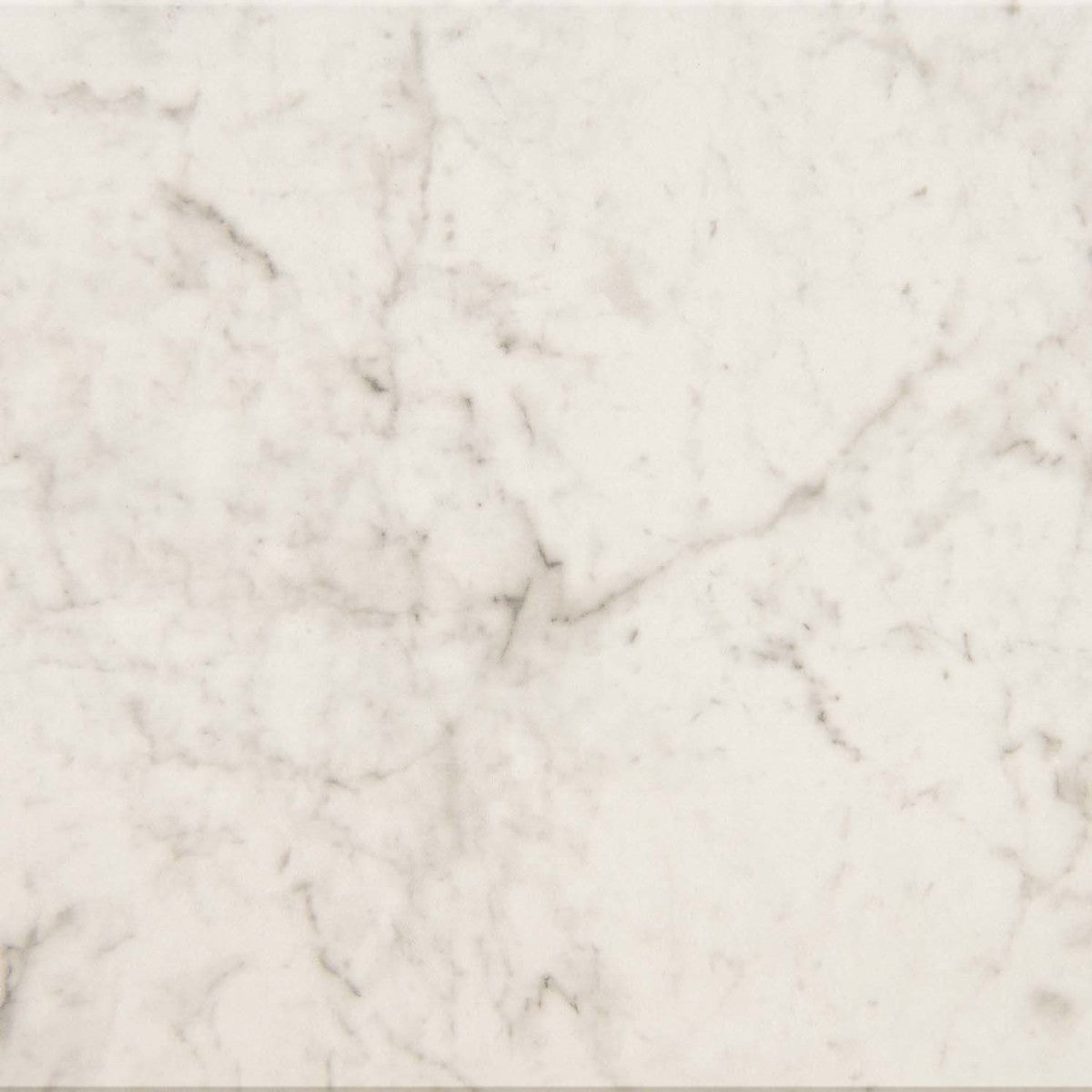 Mythique Marble Altissimo 12x12 Field Tile Matte Rectified