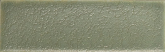 Skin Moss 2x5 Field Tile Matte