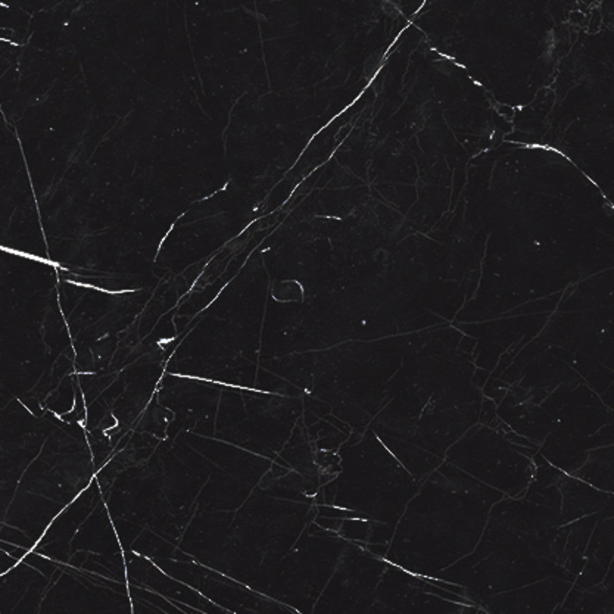 Luxury Nero Marquina 12x12 Field Tile Matte Rectified