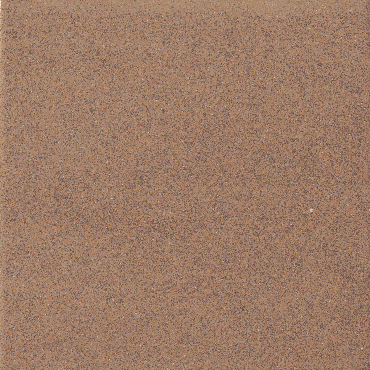 Scenes Warm Ochre Sand 6x6 Field Tile Rectified