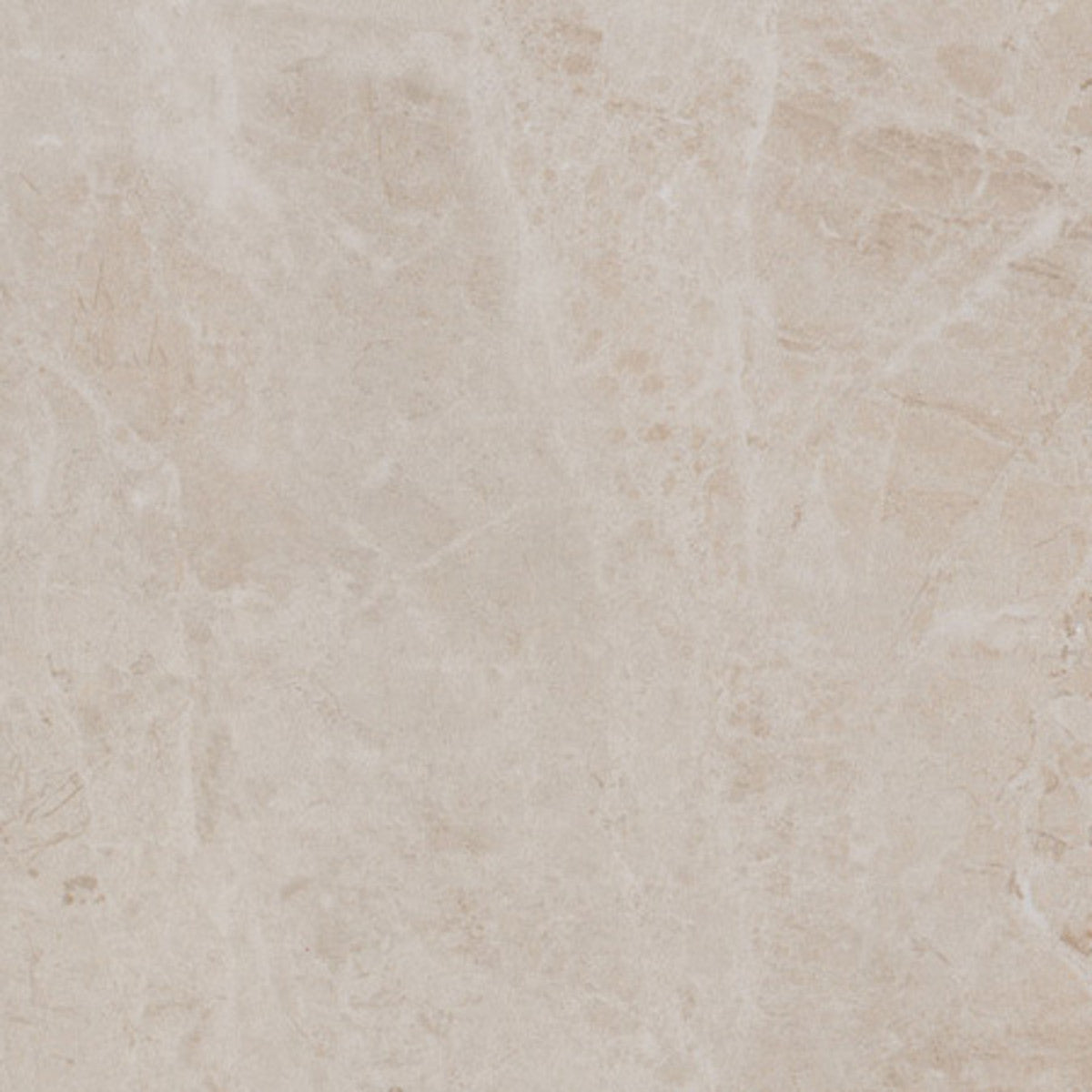 Arenella Light Beige 12x12 Field Tile Matte