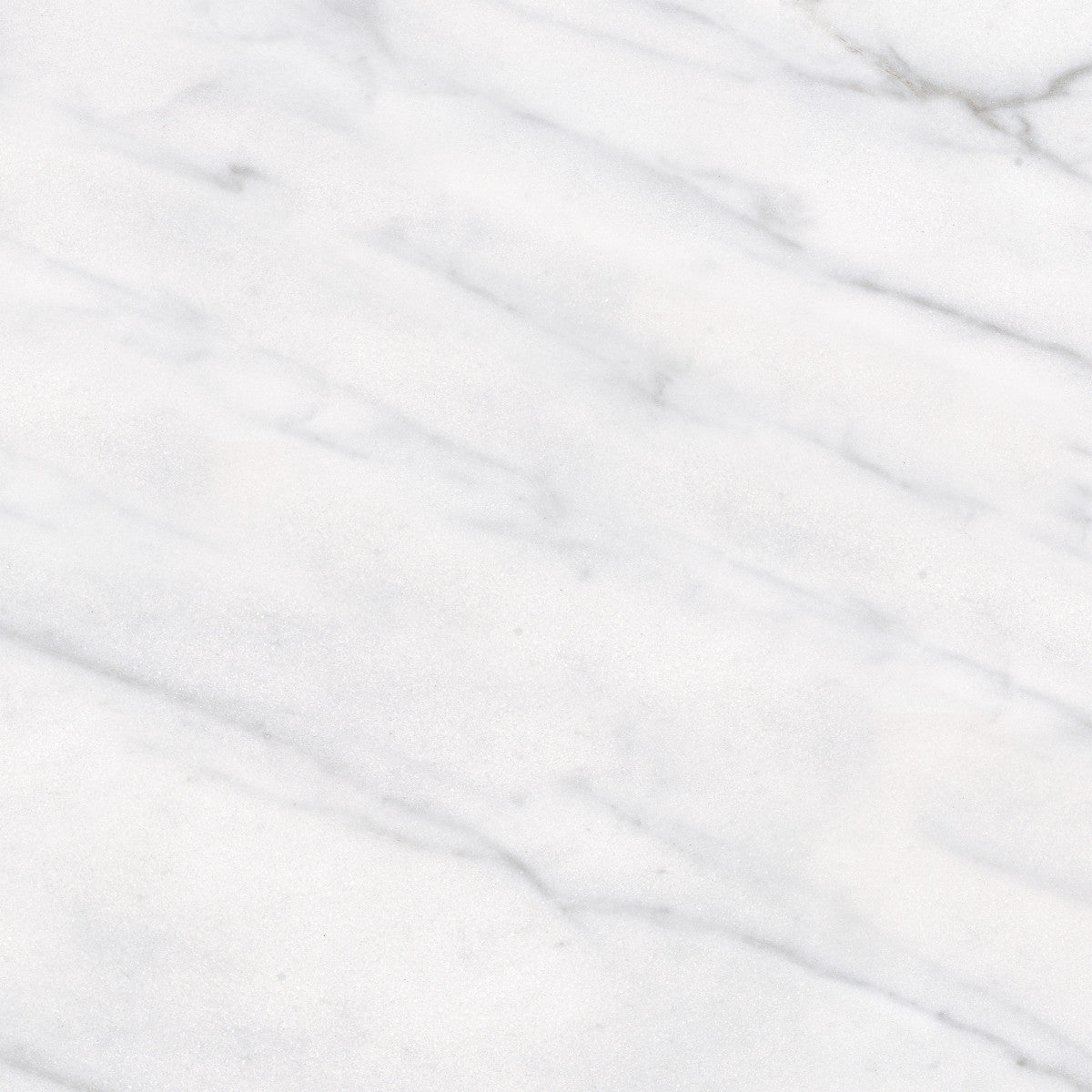 Classic Carrara 12X12 Matte