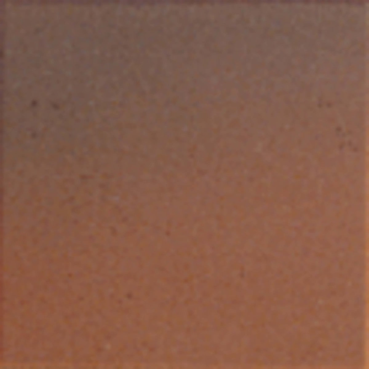 Quarry Tile/Sure Step Ember Flash 6x6 Field Tile Matte