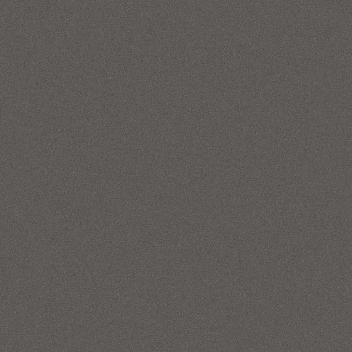 D_Segni Shadow 8x8 Field Tile Matte