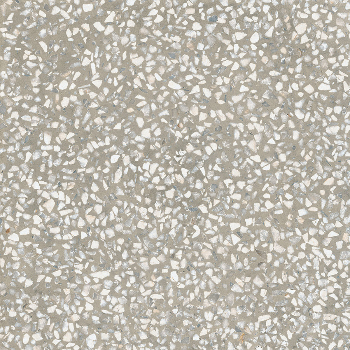 D_Segni Terrazzo Grey 8x8 Field Tile Matte