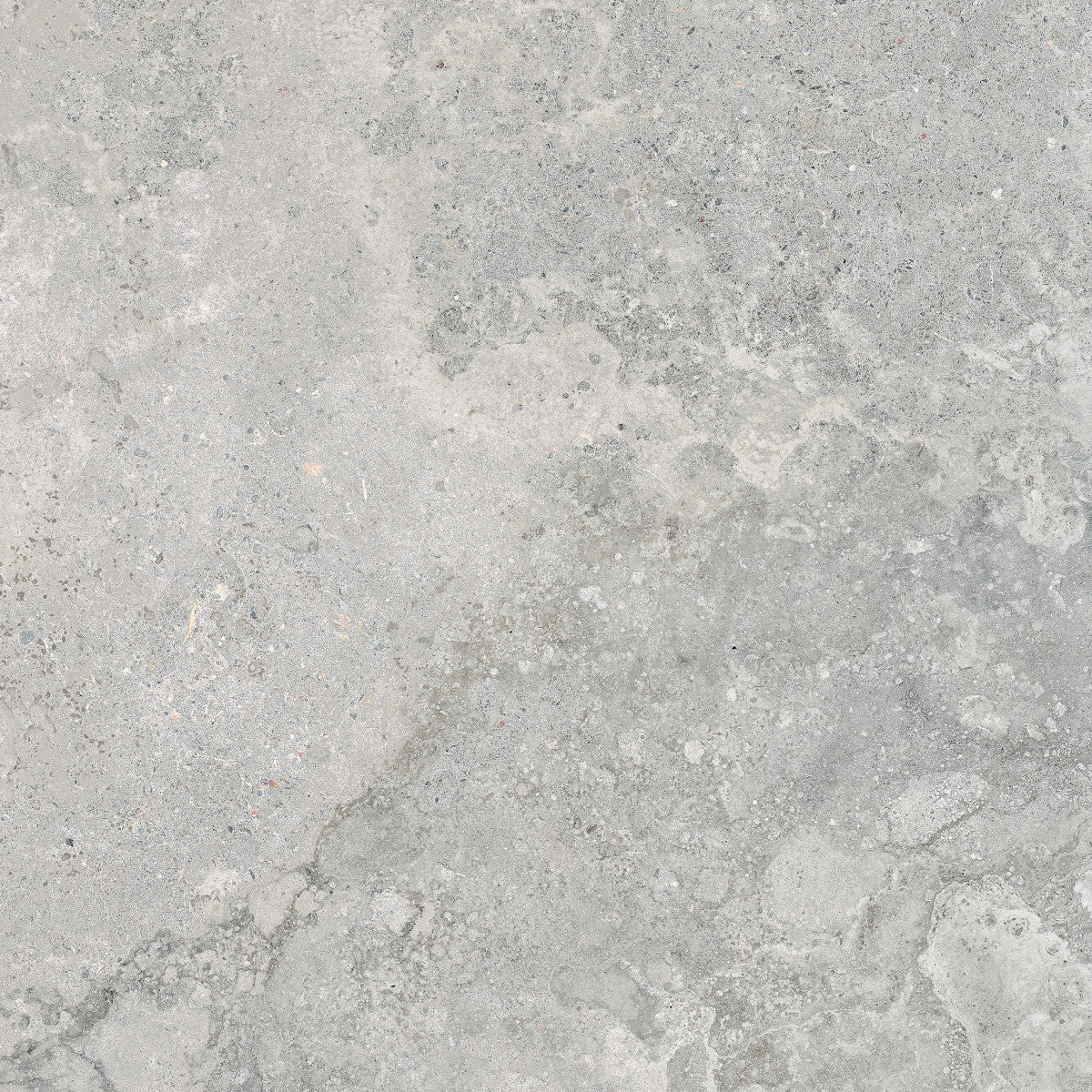 Veneta Argento 13x13 Field Tile Matte