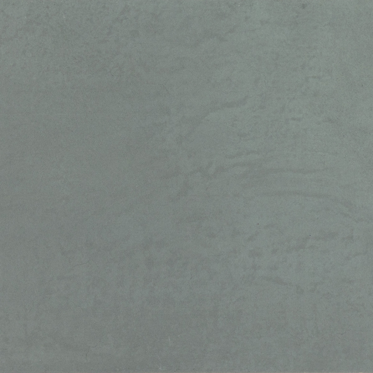 Color Story Floor Matte Tranquility 12x12 Field Tile