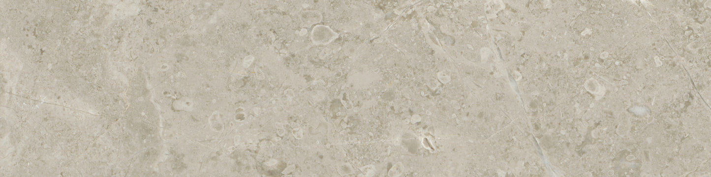 Ritz Gray Ritz Gray 3x12 Field Tile Honed