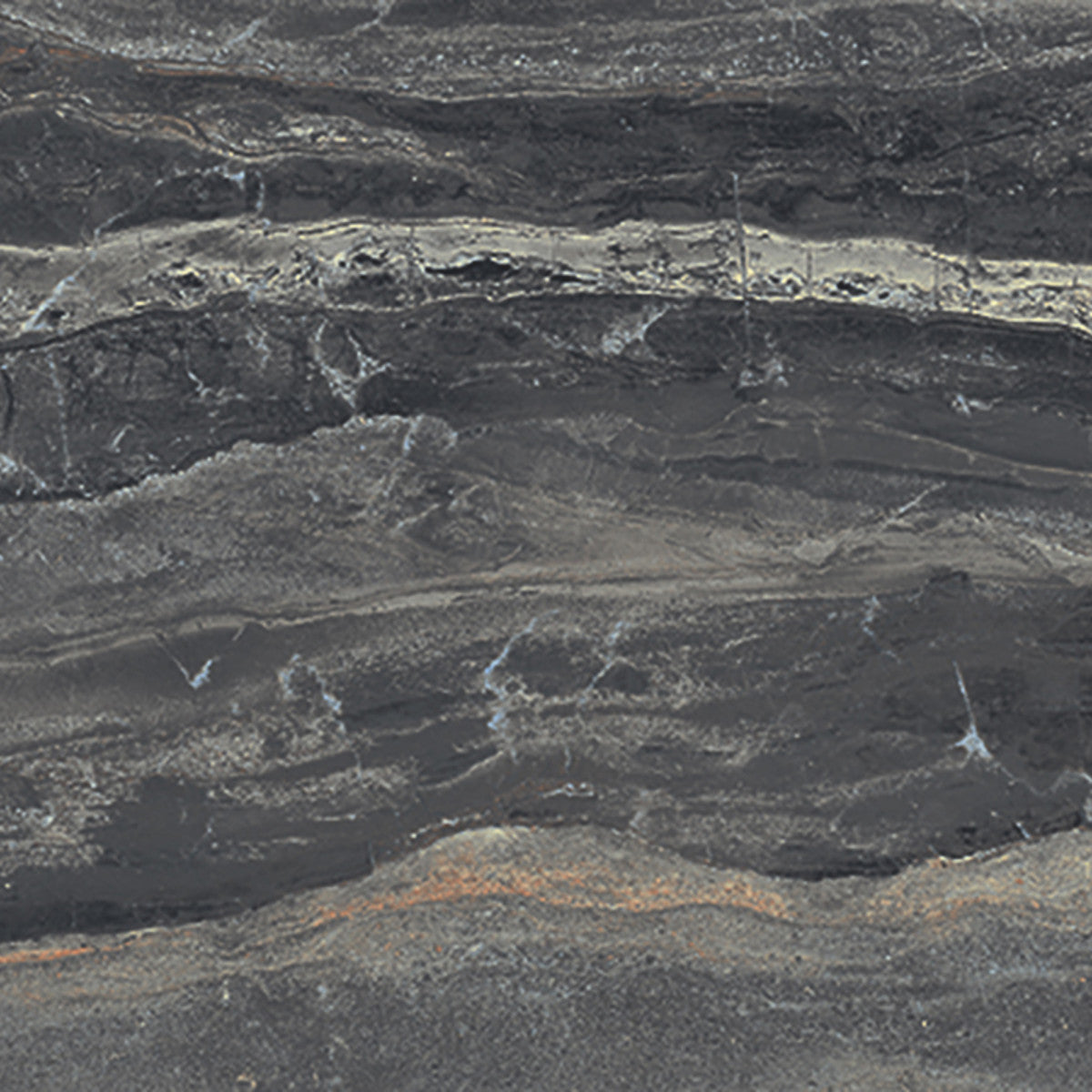 Breccia Noir 12x12 Field Tile Polished Rectified