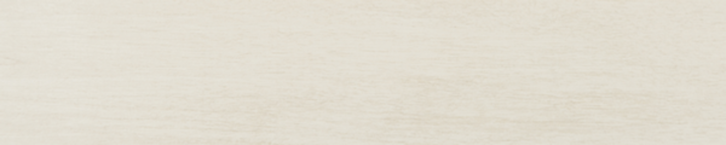 Nest Levity Olive 3x15 Field Tile Matte Rectified