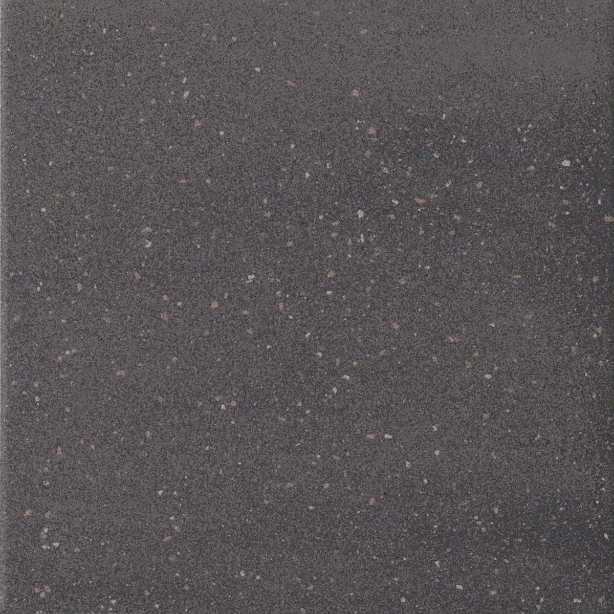 Scenes Dark Anthracite Grain 6x6 Field Tile Rectified