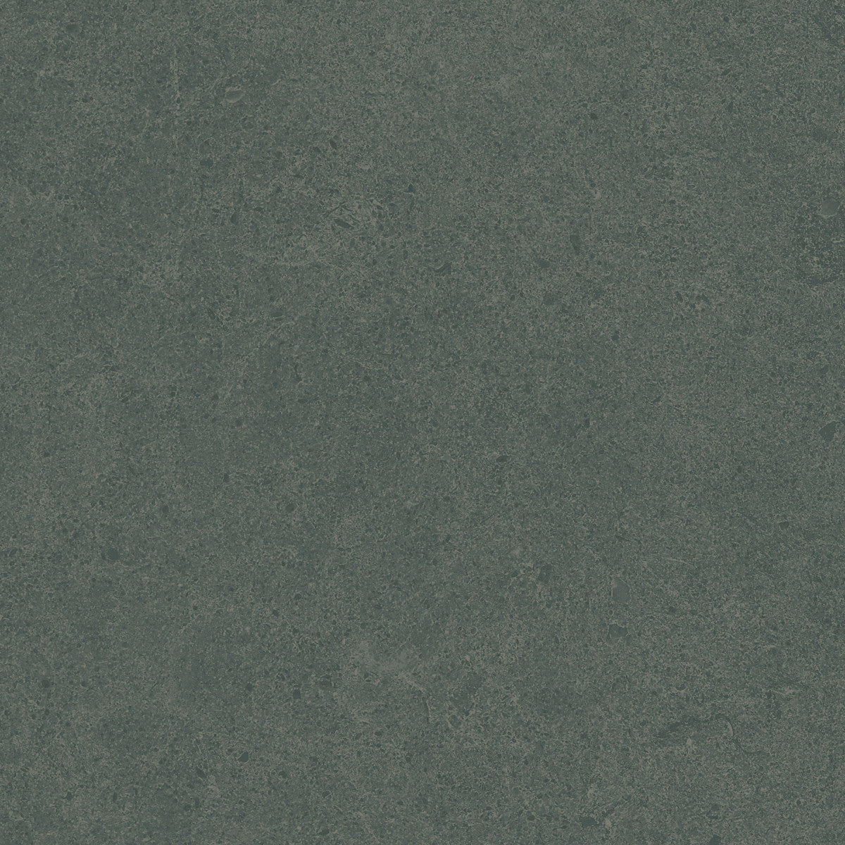 Argent 2.0 Enchanted Forest 12x12 Field Tile Rectified