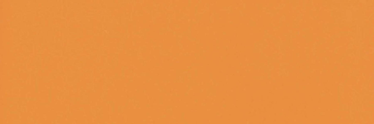 Color Story Mandarin 4x12 Field Tile