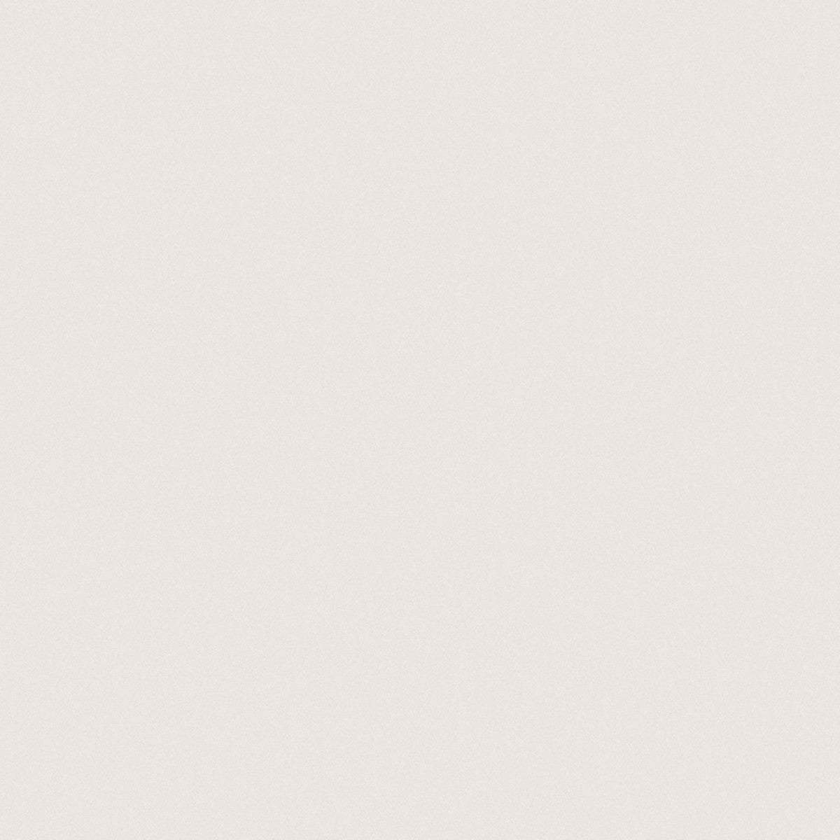 Prima Warm White 12x12 Field Tile Matte Rectified