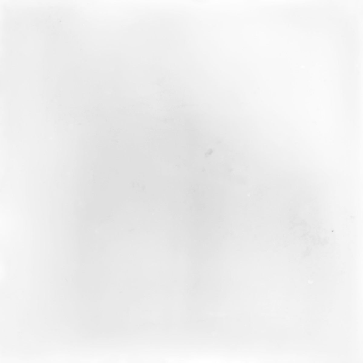 Mud Pure White 6x6 Field Tile Matte