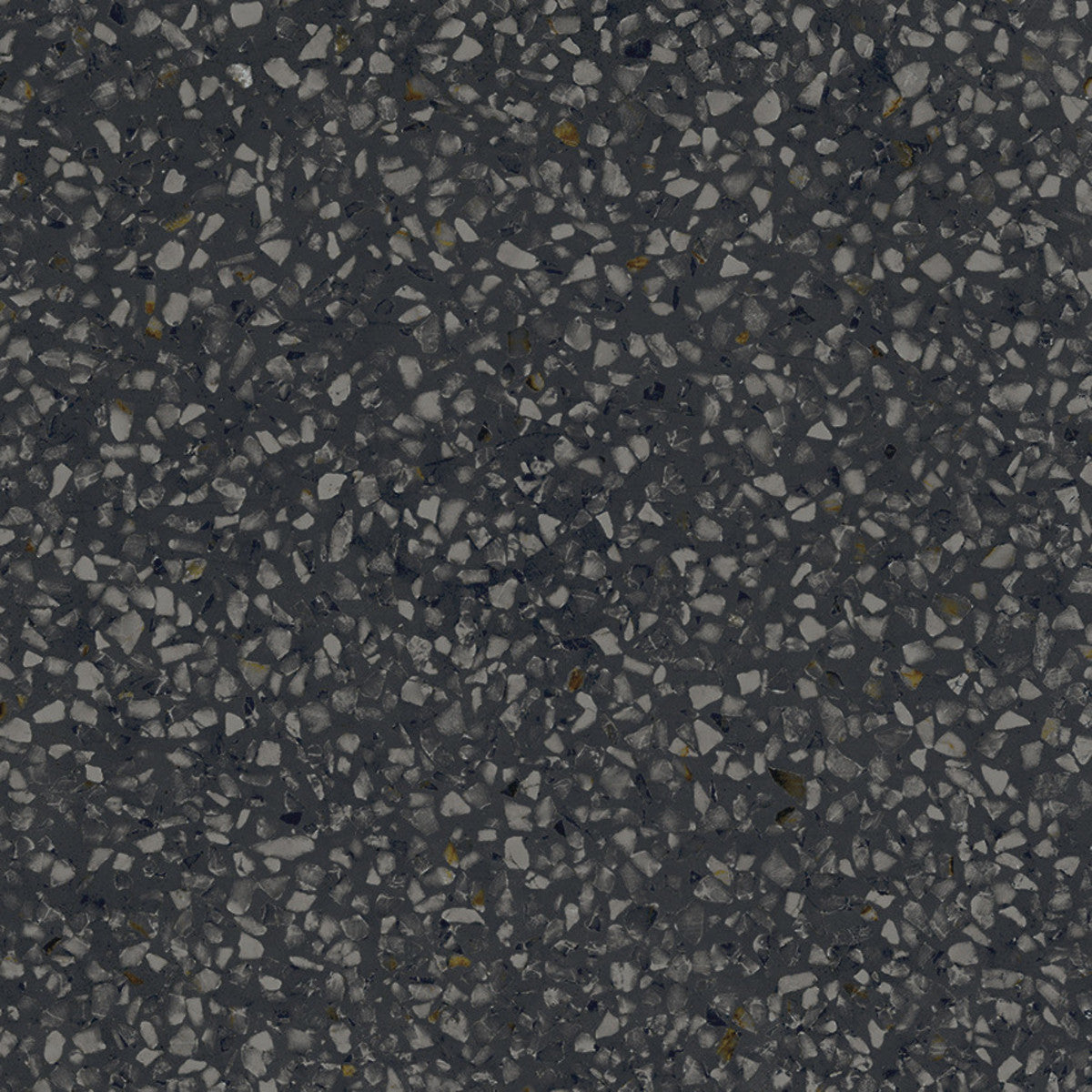 D_Segni Terrazzo Black 8x8 Field Tile Matte