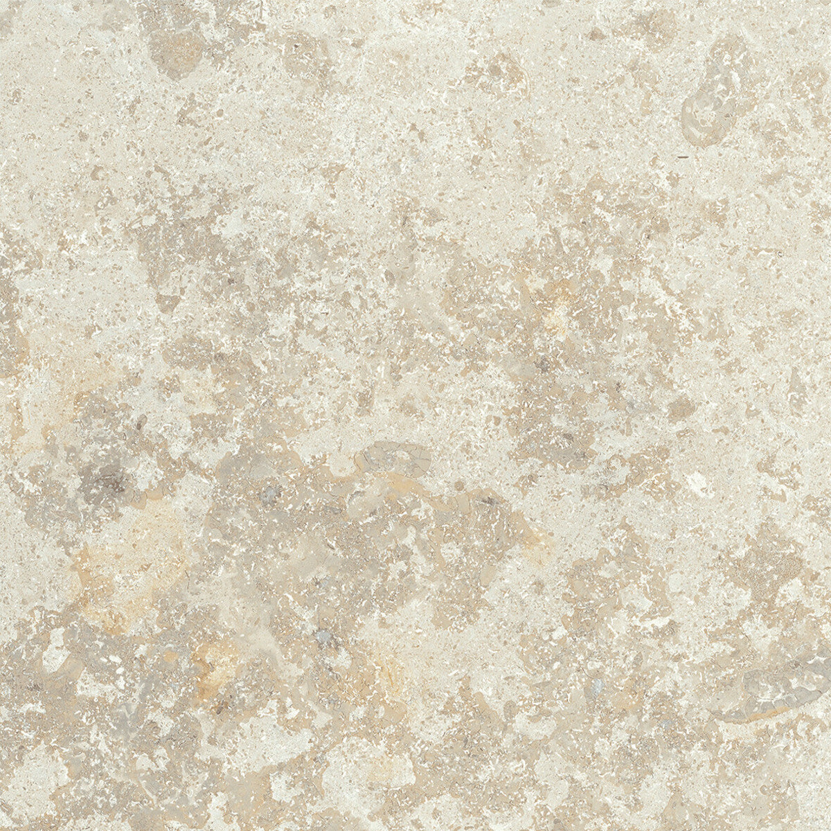 Uniche Beige Chiaro 12x12 Field Tile Rectified