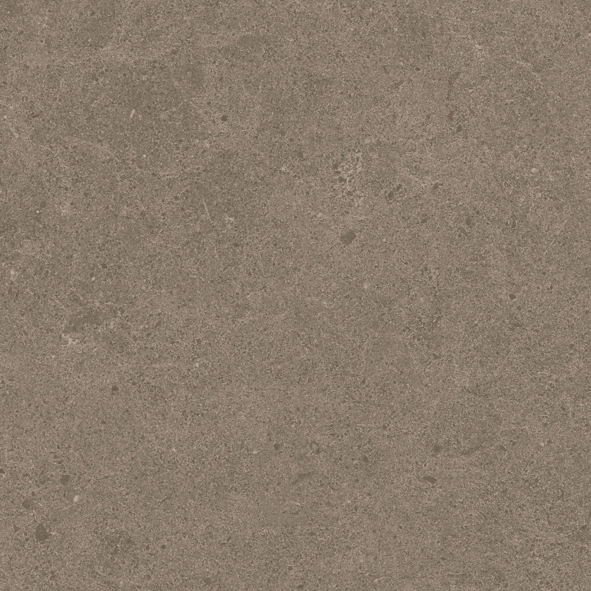 Argent 2.0 Concrete Jungle 12x12 Field Tile Rectified