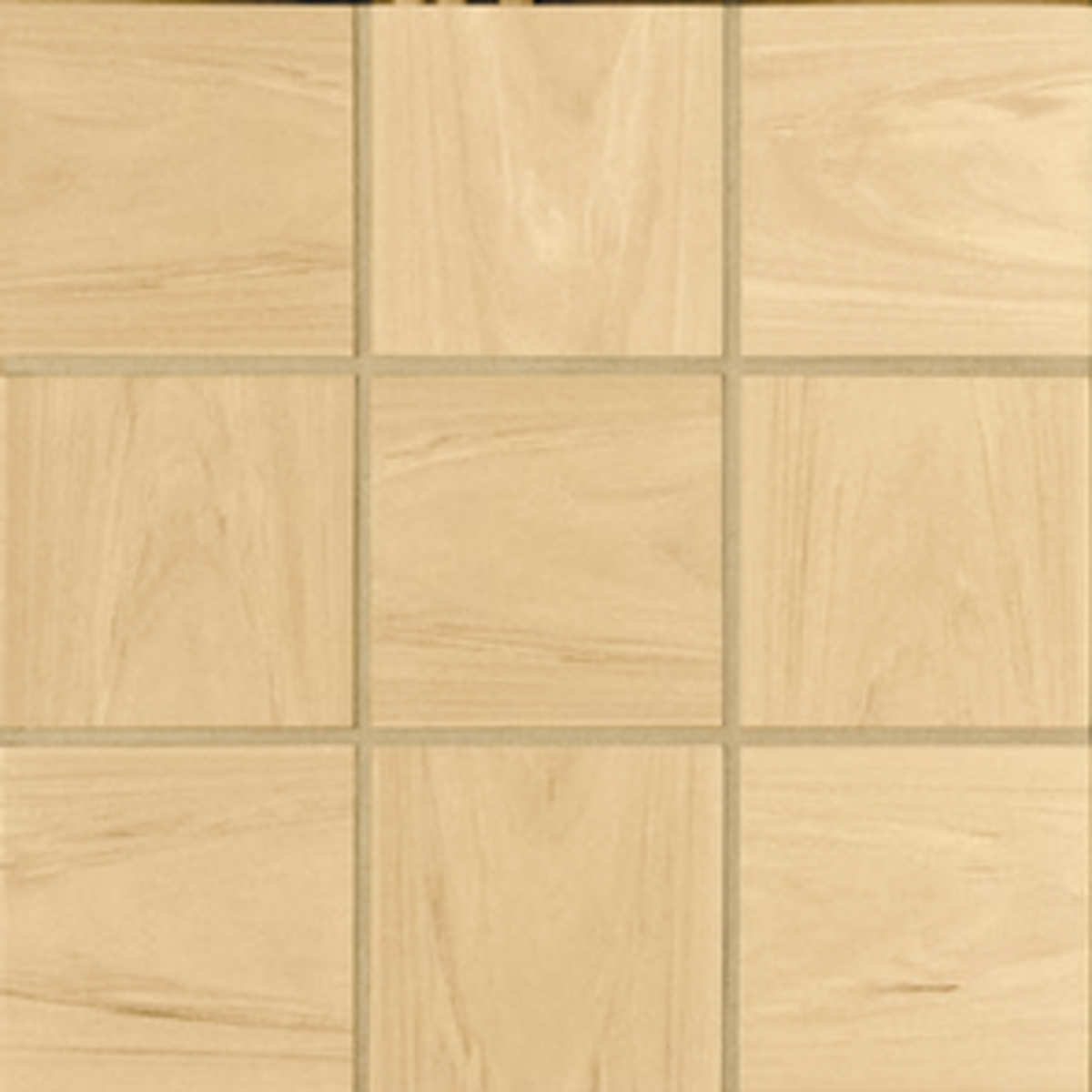 Strata/Strata 2 Appaloosa 6x6 Field Tile Rectified