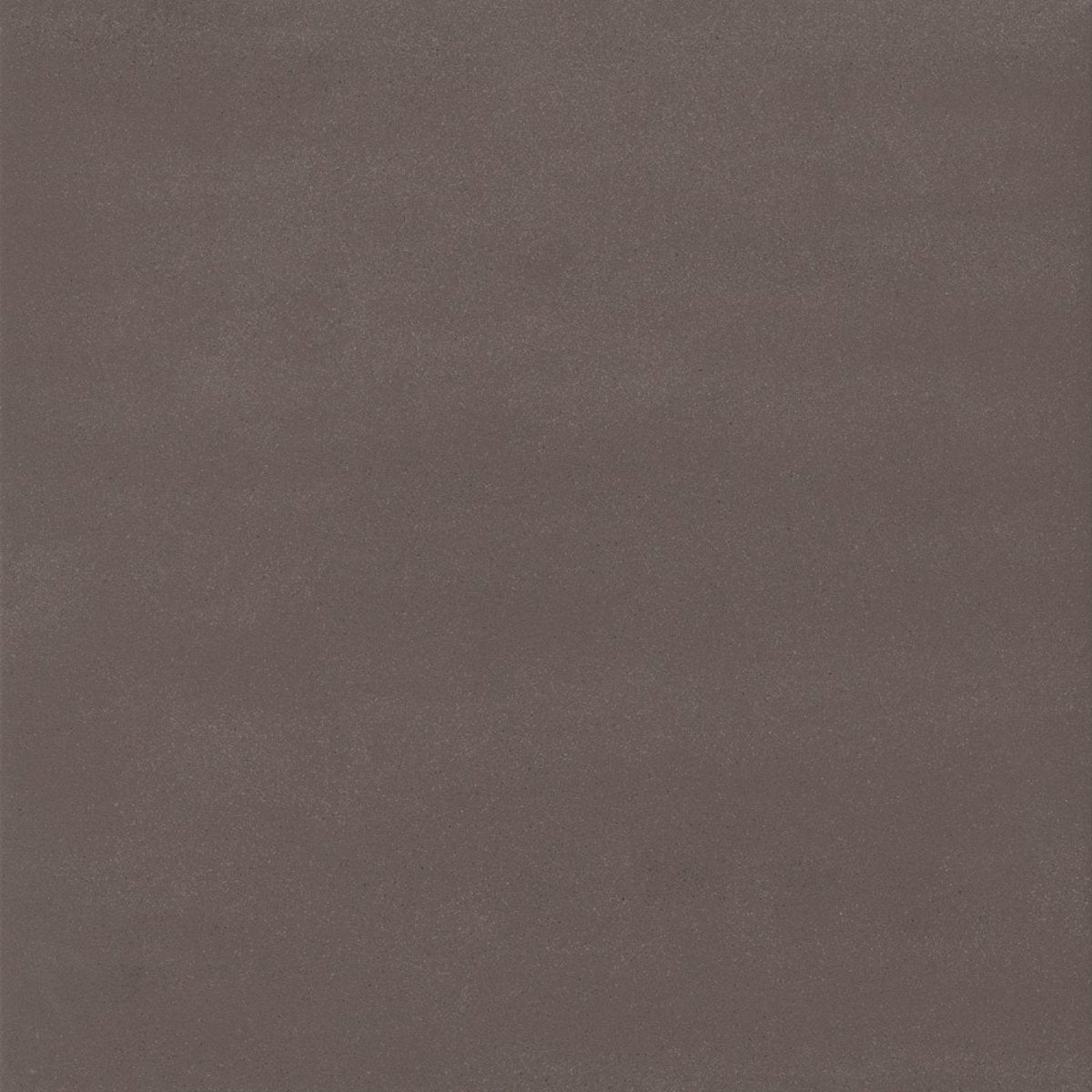 Core Collection Dark Warm Grey 12x12 Field Tile Matte