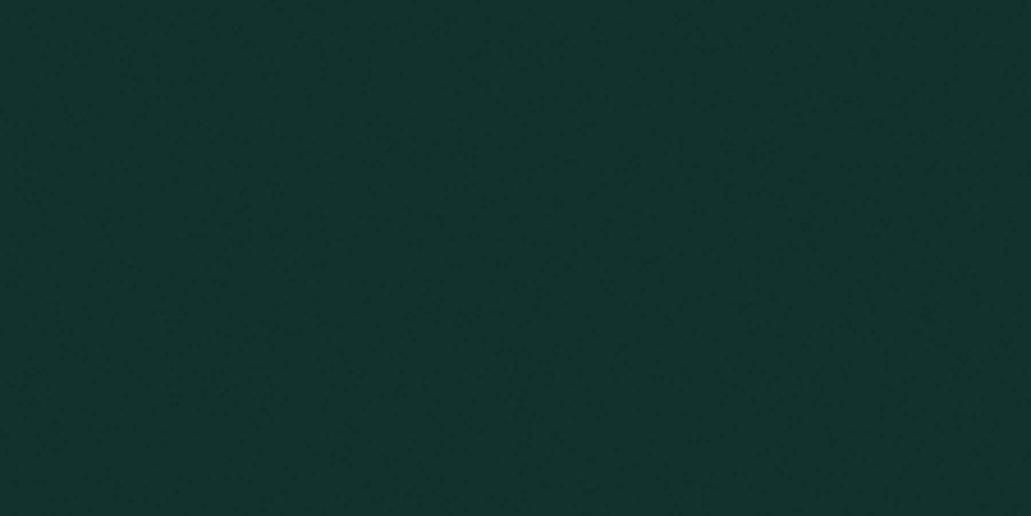 Color Story Wisdom 3x6 Field Tile