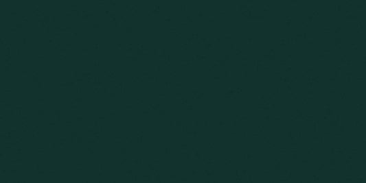 Color Story Wisdom 3x6 Field Tile