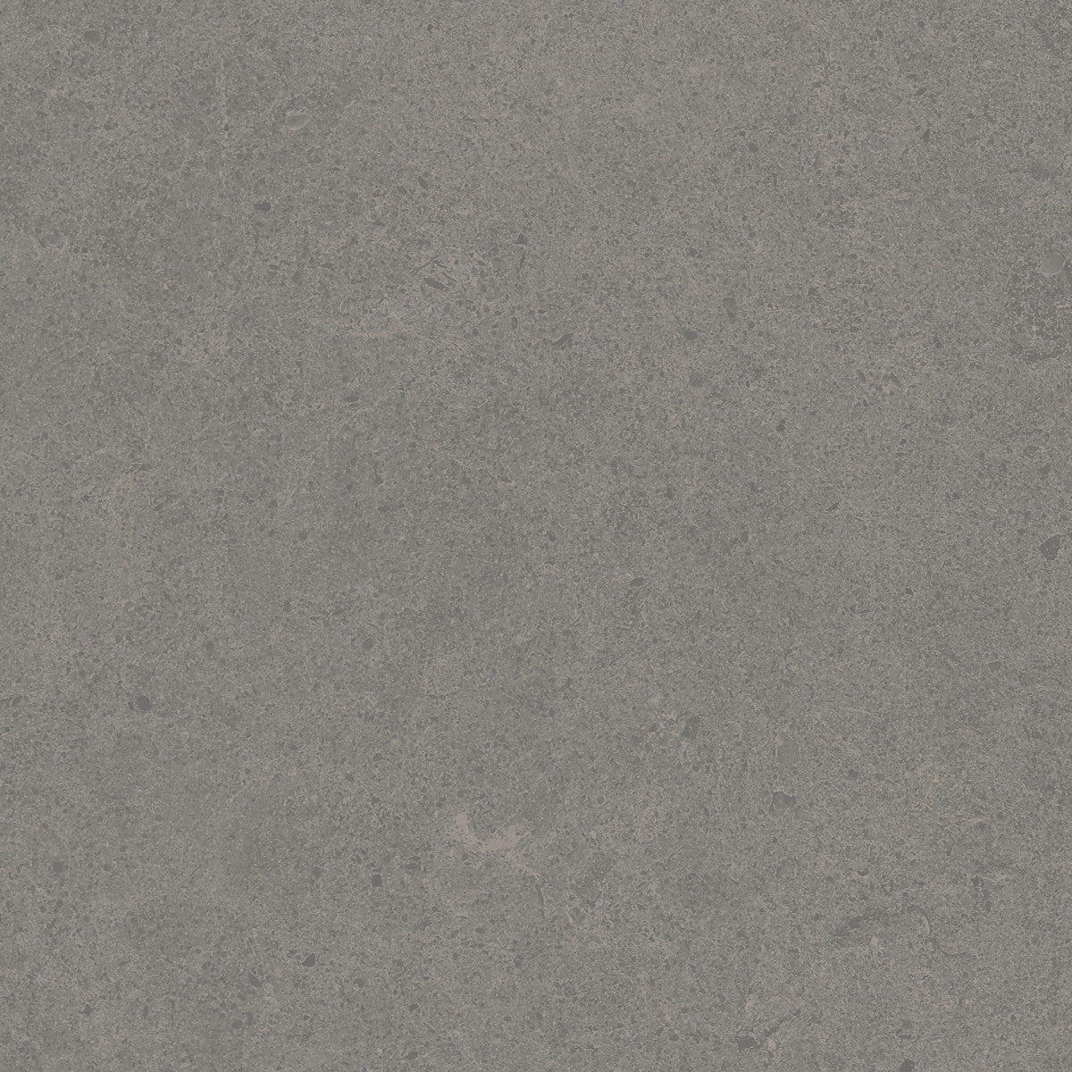 Argent 2.0 Clean Slate 12x12 Field Tile Rectified