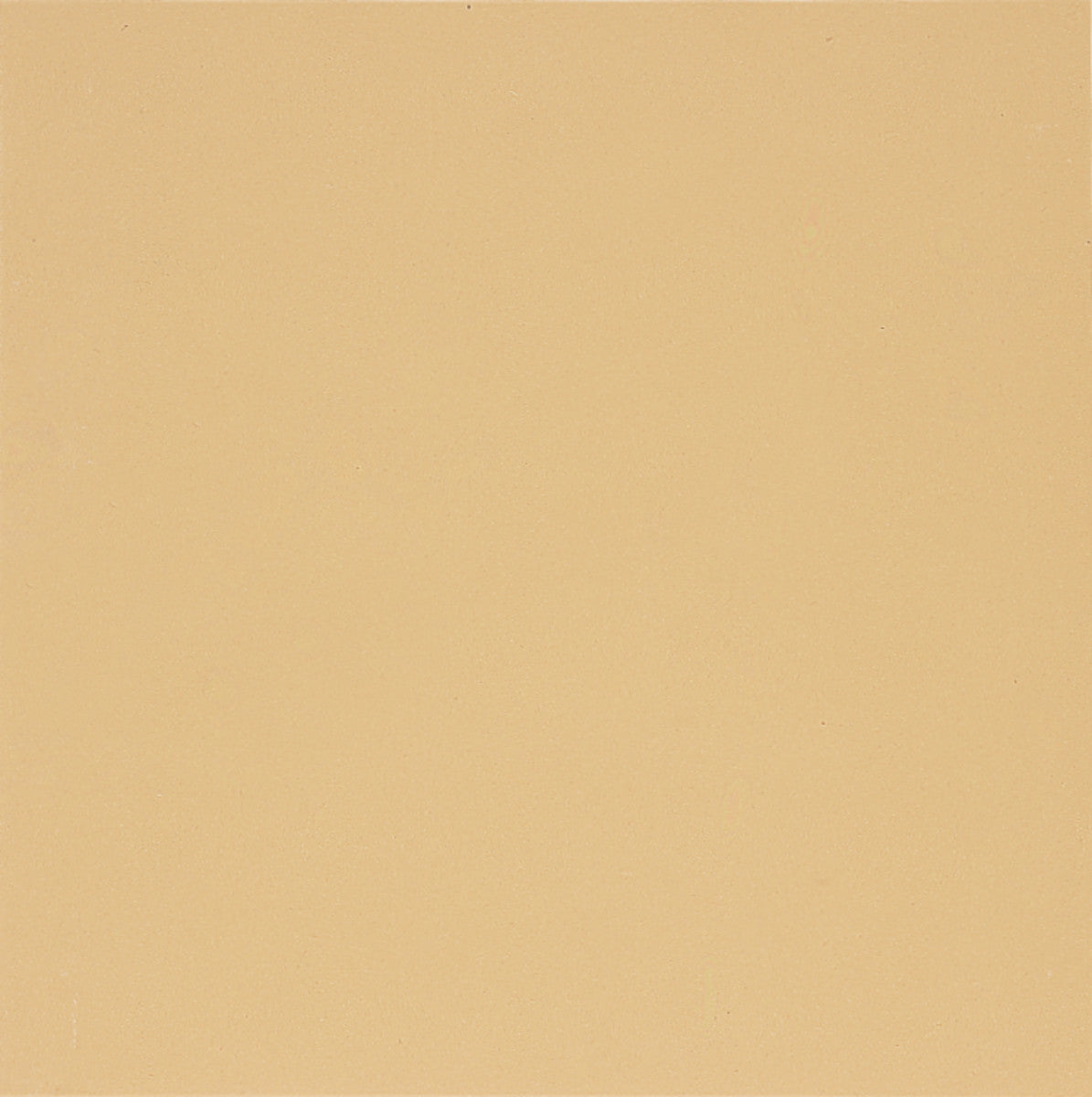 Global Collection Plain Sand Yellow 12x12 Field Tile Matte
