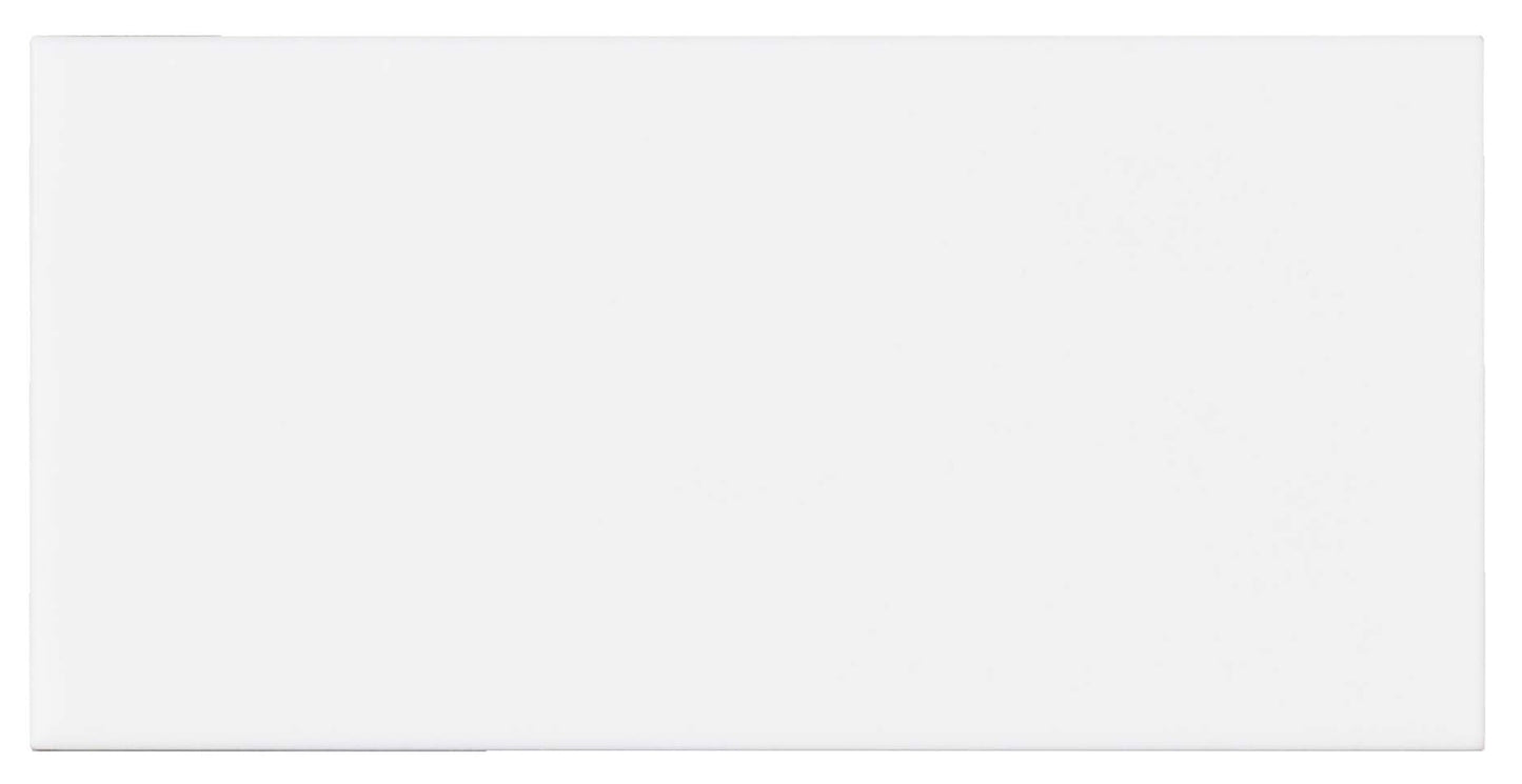 Habitat Alabaster 2x5 Field Tile Matte