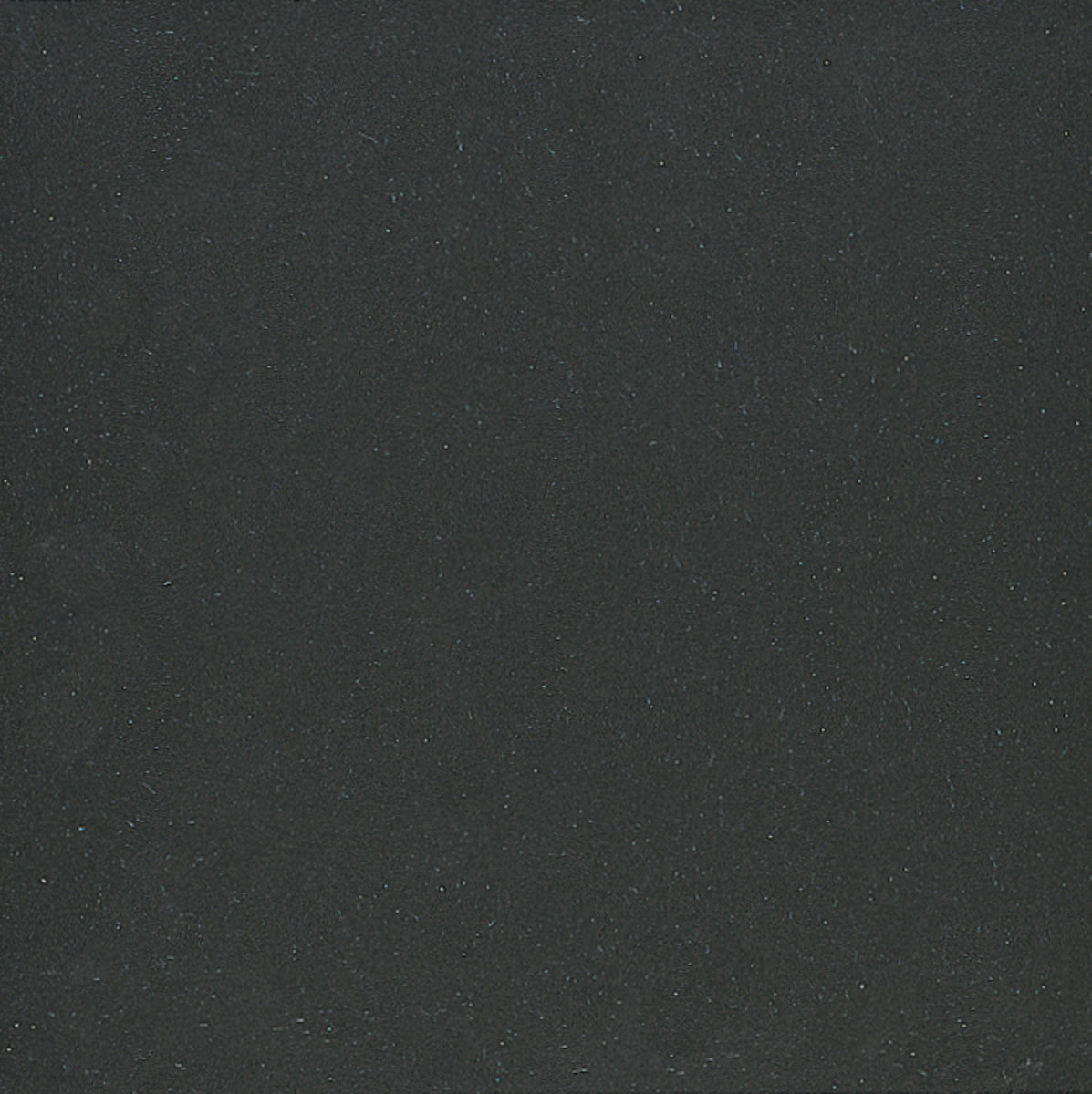 Global Collection Plain Ivory Black 12x12 Field Tile Matte