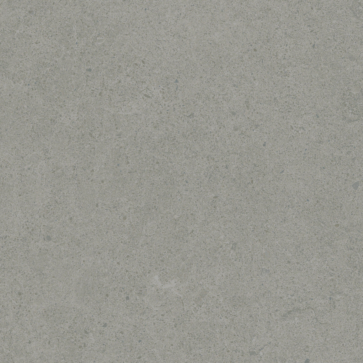 Argent 2.0 Grey Tabby 12x12 Field Tile Rectified