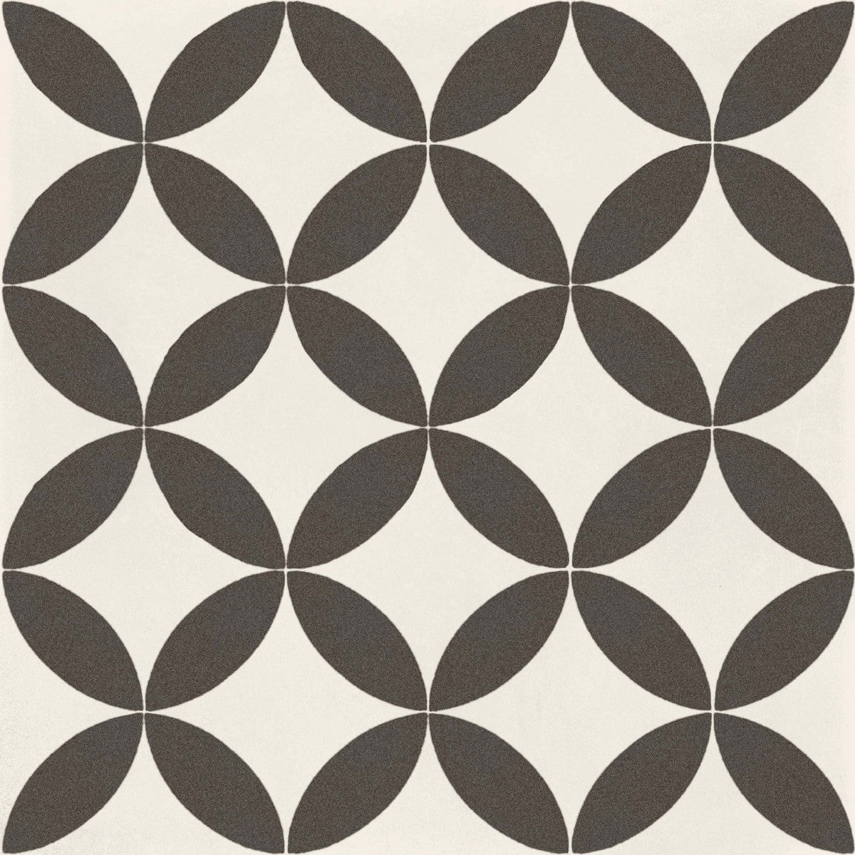 D_Segni Chalk/Midnight/Shadow/Smoke Blend 8x8 Stella Decorative Tile Matte