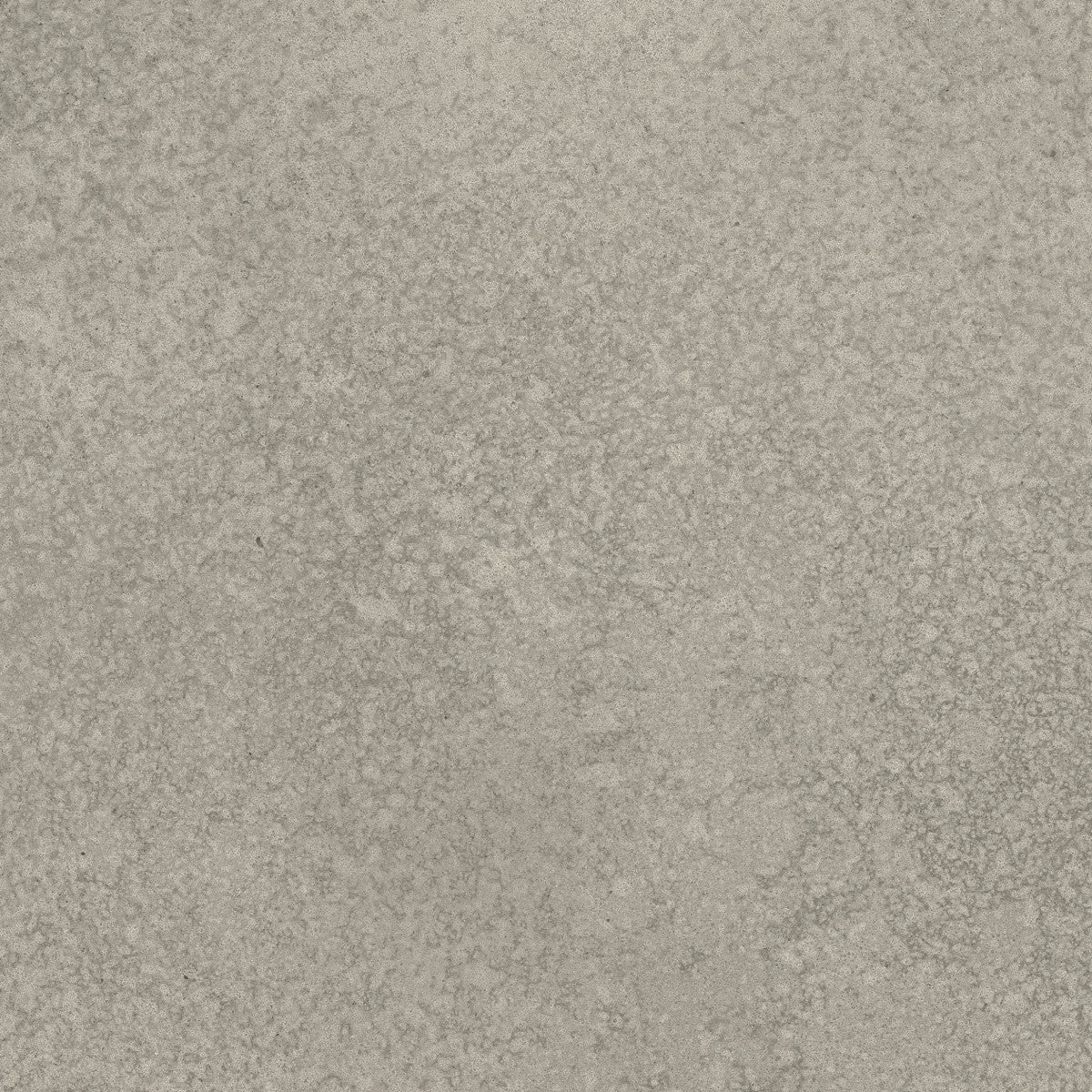 Scene Medium Gray 12x24 Field Tile