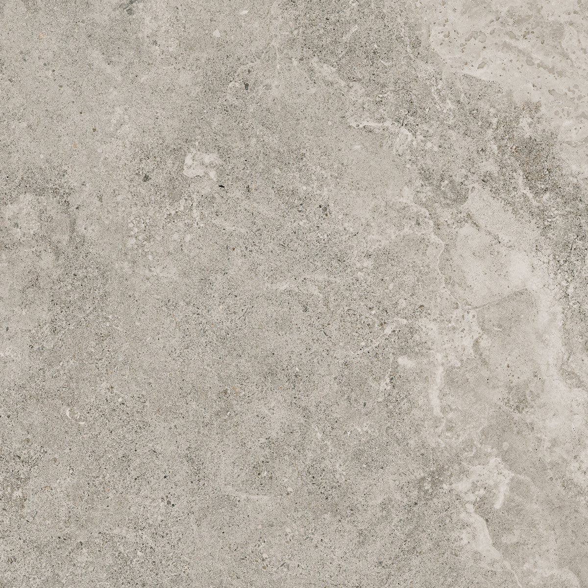 Provence Normandy 13x13 Field Tile Matte
