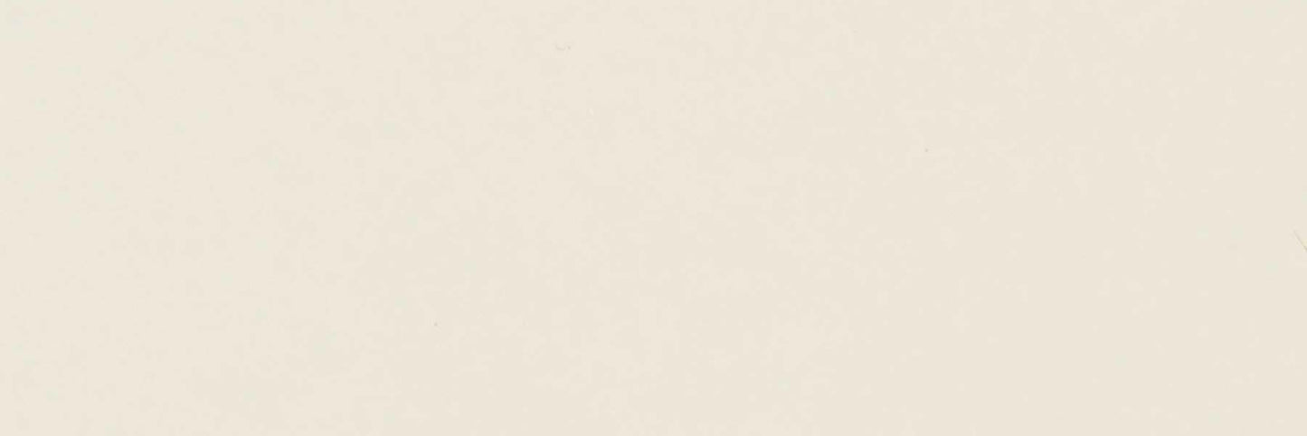 Color Story Calm 4x12 Field Tile