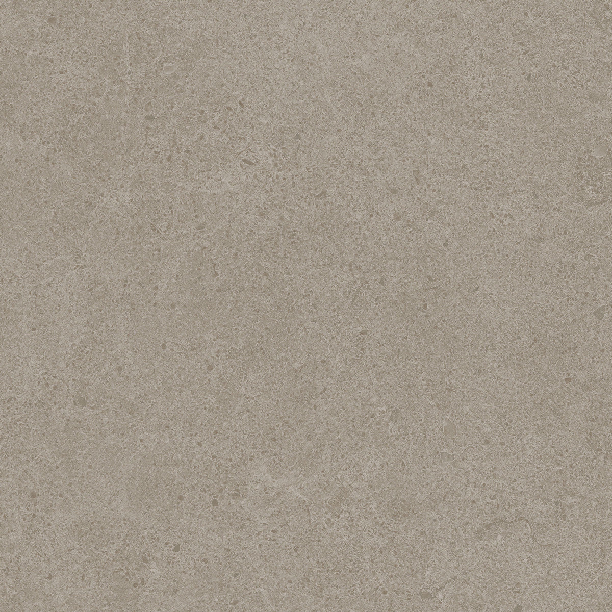 Argent 2.0 Marble Faun 12x12 Field Tile Rectified