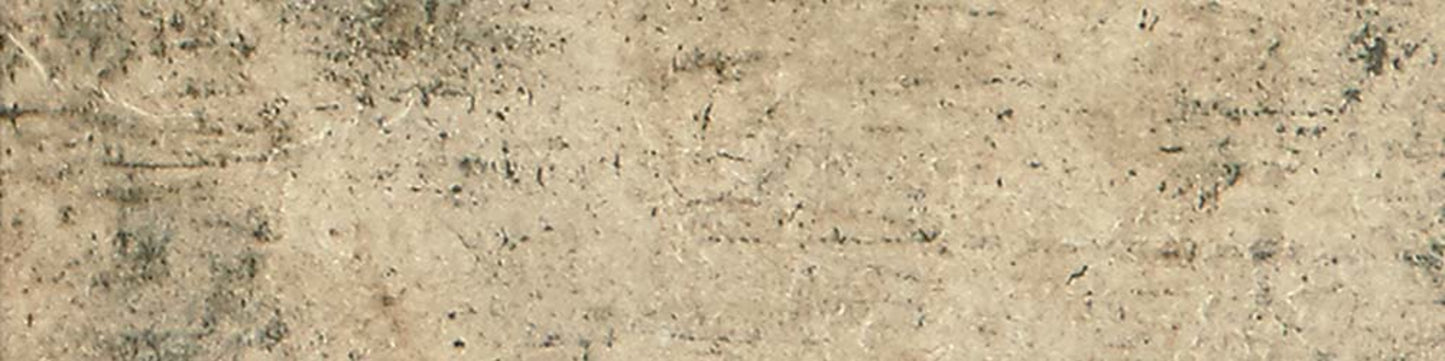 Brickell Beige 2x8 Field Tile Matte