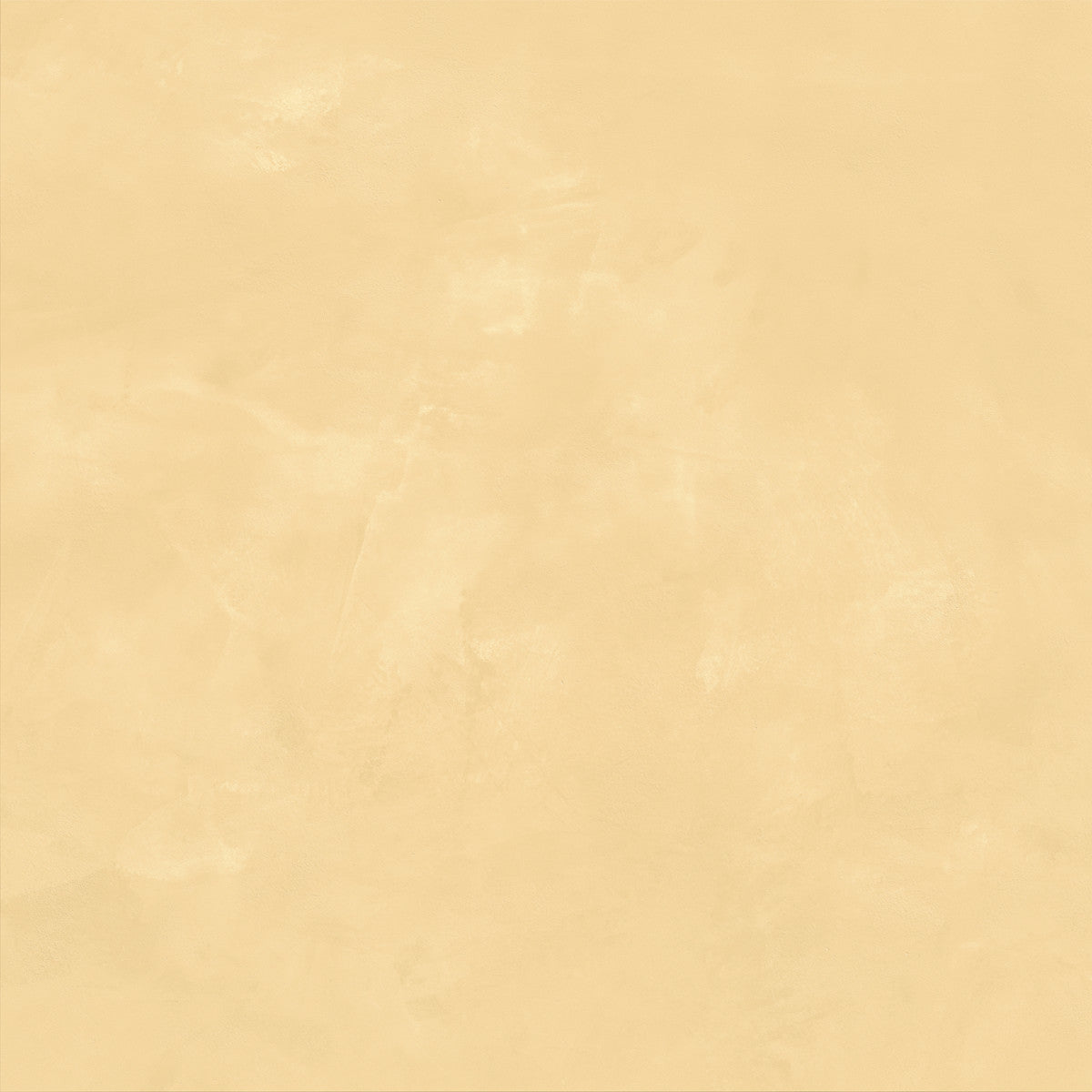 Join Mango 24x24 Field Tile Soft Rectified